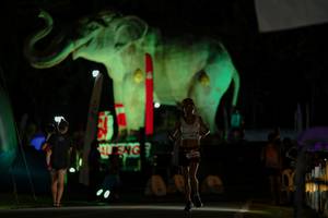 BIB: 
                            <button type="button" onclick="openModal(26530667)" class="btn btn-primary btn-sm float-right btn-popup" data-toggle="modal" data-target=".modal-high-quality">
                        <i class="fas fa-shopping-cart"></i> Add to Cart
                    </button>
                                            <button type="button" onclick="isThisMe(26530667, true)" class="btn btn-success btn-sm float-right btn-popup btn-isme hidden" data-toggle="tooltip" data-placement="bottom" title="นี่คือรูปของคุณใช่ไหม คลิกที่นี่เพื่อเอาเข้าอัลบั้ม">
                        <i class="fas fa-plus"></i> Add to album
                    </button>
                    <button type="button" onclick="isThisMe(26530667, false)" class="btn btn-warning btn-sm float-right btn-popup btn-isnotme hidden">
                        <i class="fas fa-ban"></i> Remove from album
                    </button>